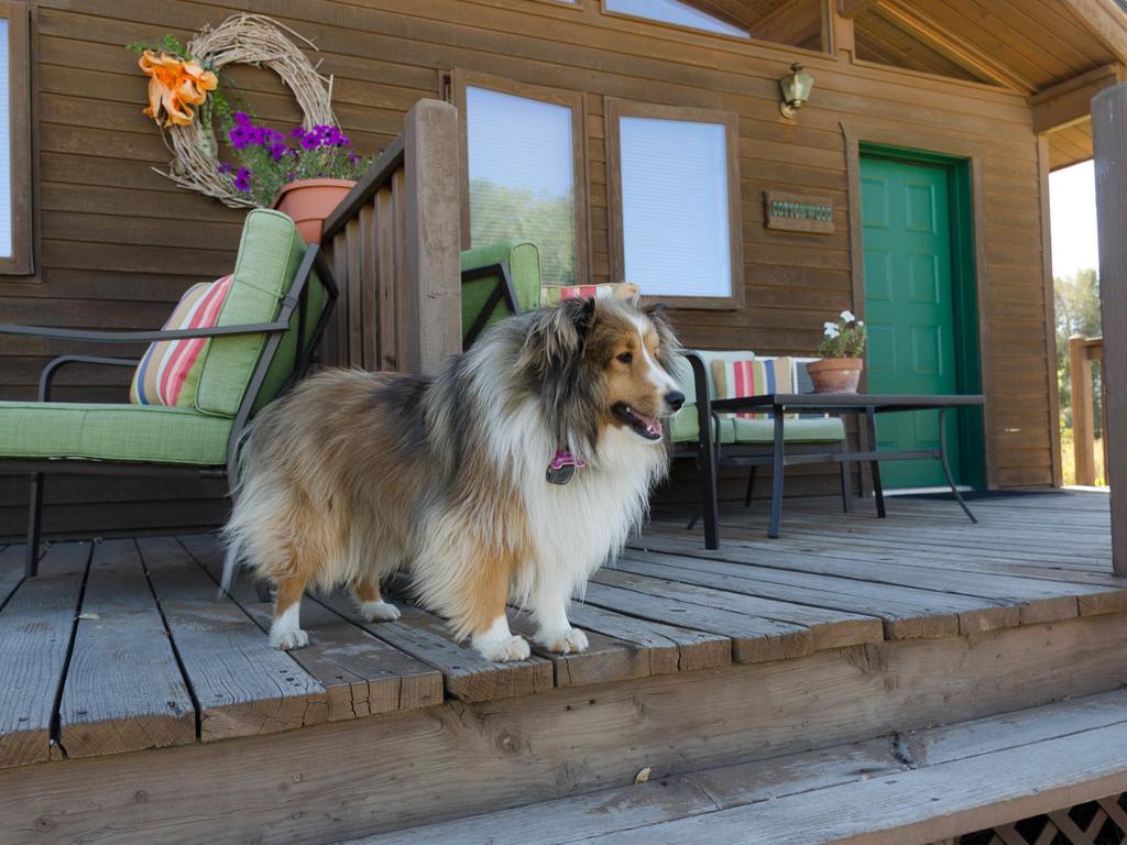 Hansen Guest Ranch Swan Valley Номер фото